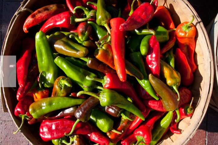 New Mexico chiles.
Red or Green? Xmas!